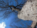 20170115054629 20170115054629