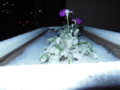 20170115054634 20170115054634