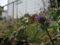 20170322004325