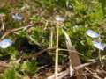 20170408131044