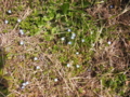 20170408131048