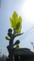 20170505232858