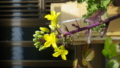 20170505232900