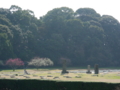20170508103547