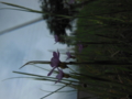 20170516175832