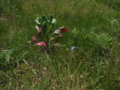 20170526213323