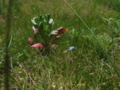 20170526213324