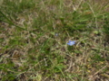 20170526213325
