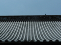20170623233025