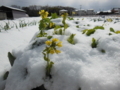 丸亀垂水　雪景色
