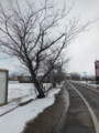丸亀垂水　雪景色