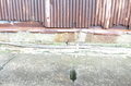 20181206232148