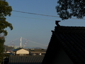 [今治][来島][大浜神社]