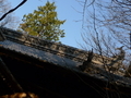 [今治][来島][大浜神社]