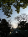20190120012926