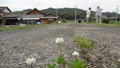 20190710225922