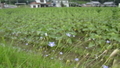 20190710230003