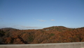 20200202192150