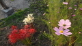 20201004192031