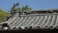 20201008212841