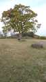 20201121065850