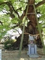善通寺