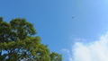 20210823233235