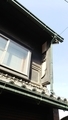 丸亀　駅前