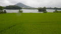 綾川　北条池