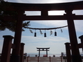 滋賀　白髭神社