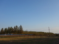 20220117095922