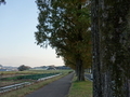 20220117095930