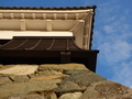 大洲城 大洲城