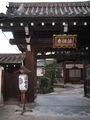 京都　東山　養源寺
