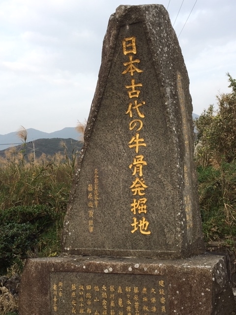 f:id:battenjiiji:20190421001455j:plain