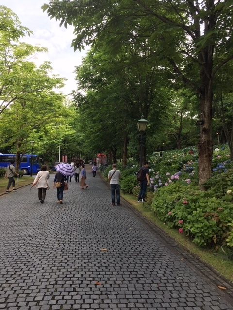 f:id:battenjiiji:20190615225500j:plain