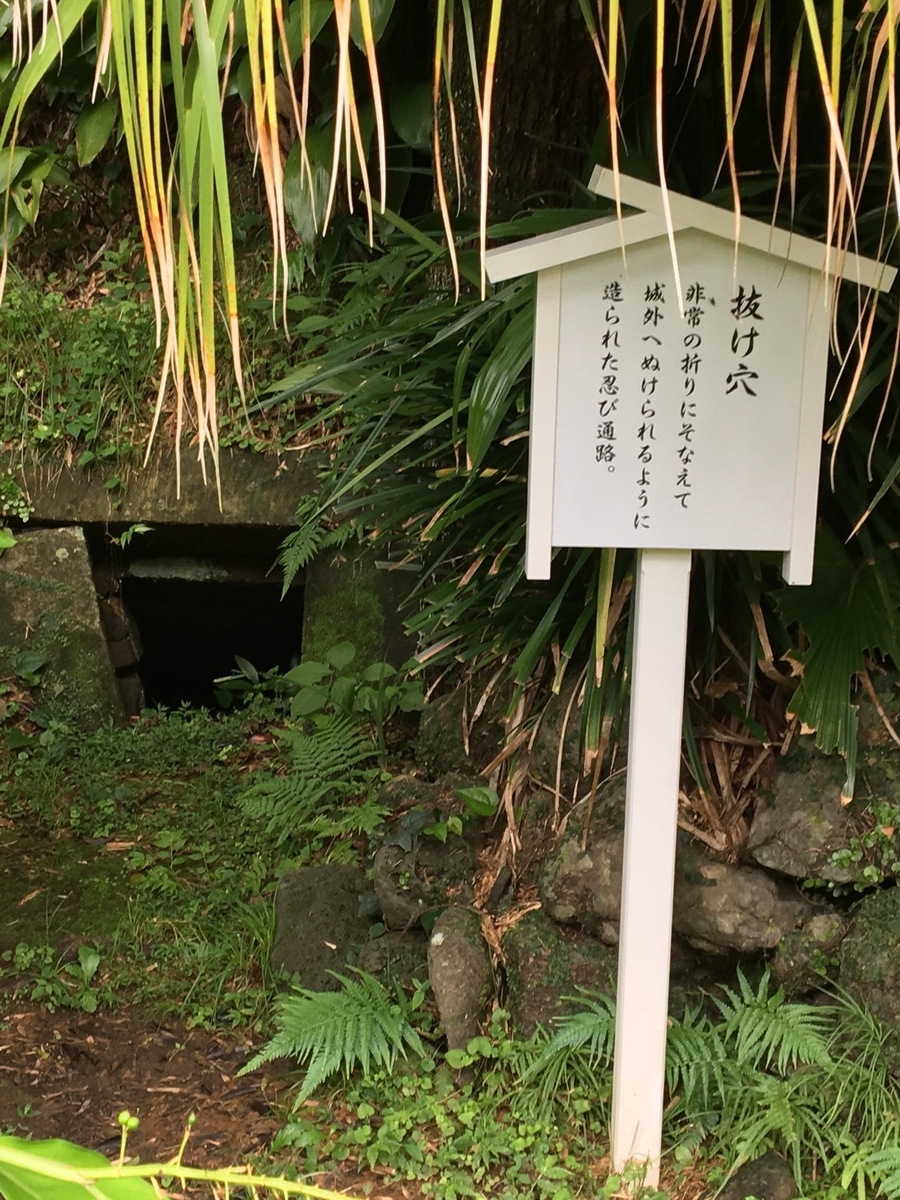 f:id:battenjiiji:20190723172431j:plain