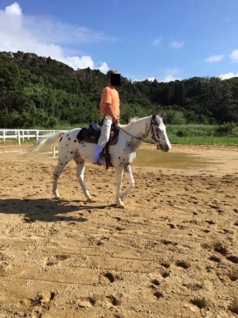 f:id:battenjiiji:20190728212749j:plain
