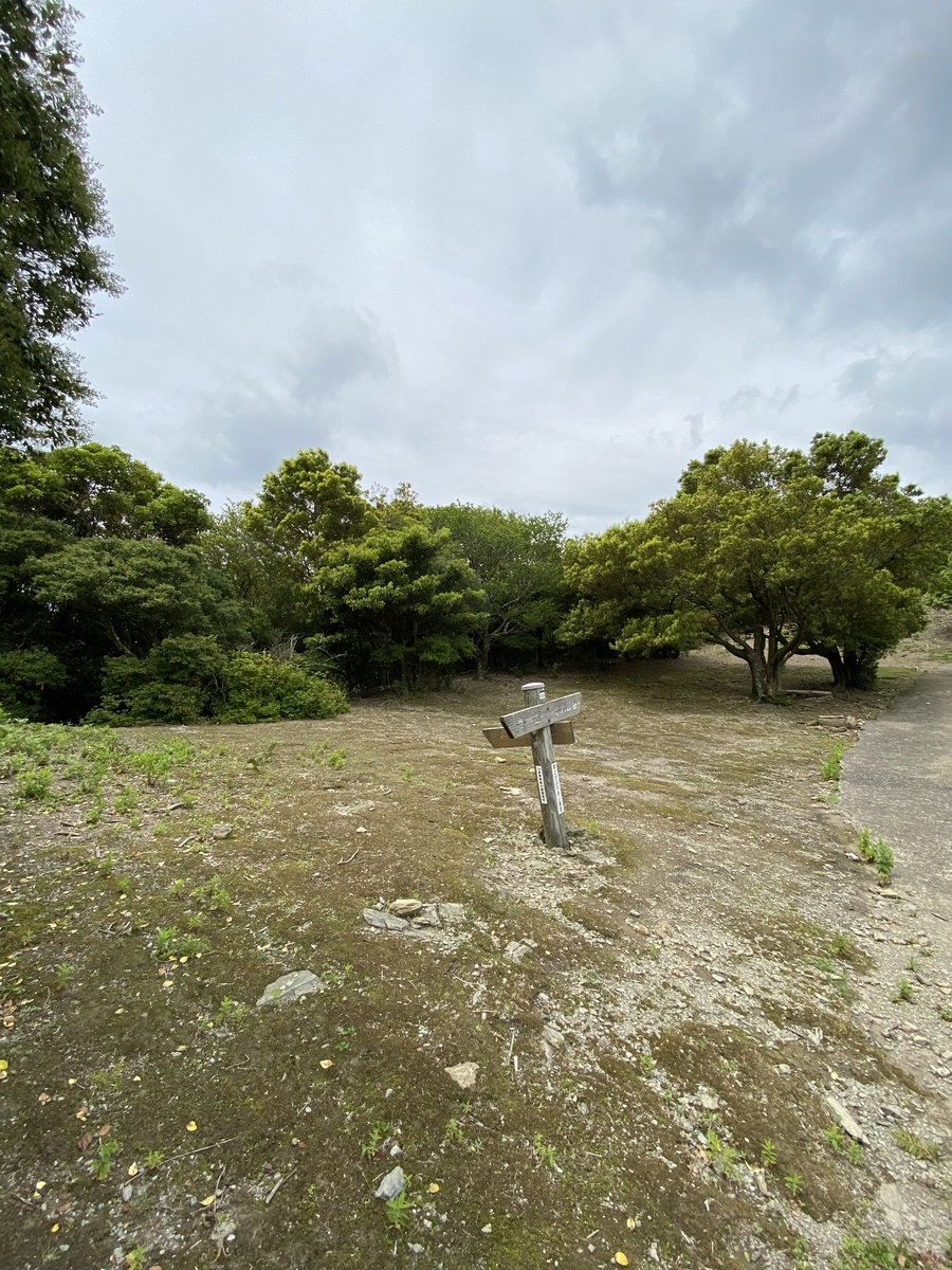 f:id:battenjiiji:20200522202405j:plain f:id:battenjiiji:20200522202405j:plain