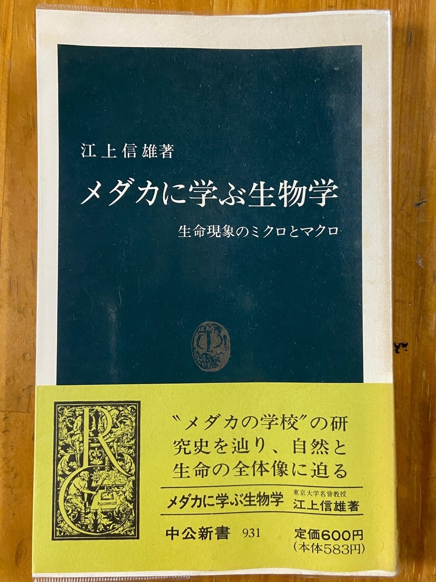 f:id:battenjiiji:20200611150651j:plain f:id:battenjiiji:20200611150651j:plain