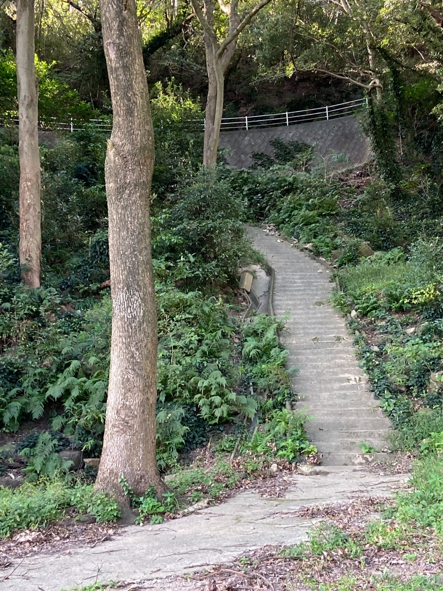 f:id:battenjiiji:20201009151125j:plain f:id:battenjiiji:20201009151125j:plain