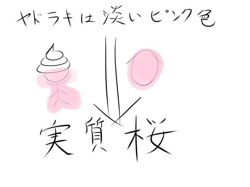f:id:battle4dome7:20180515093319j:plain