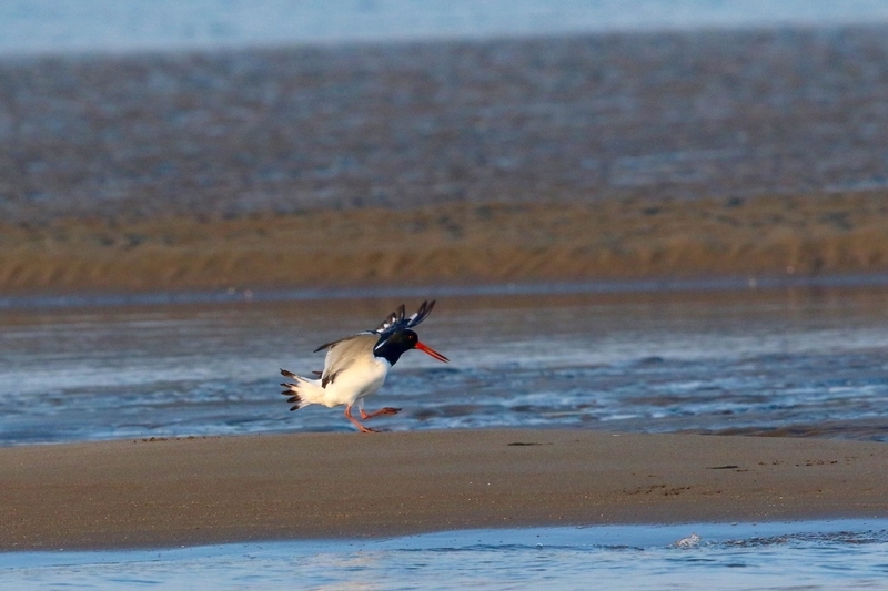 イメージ 12