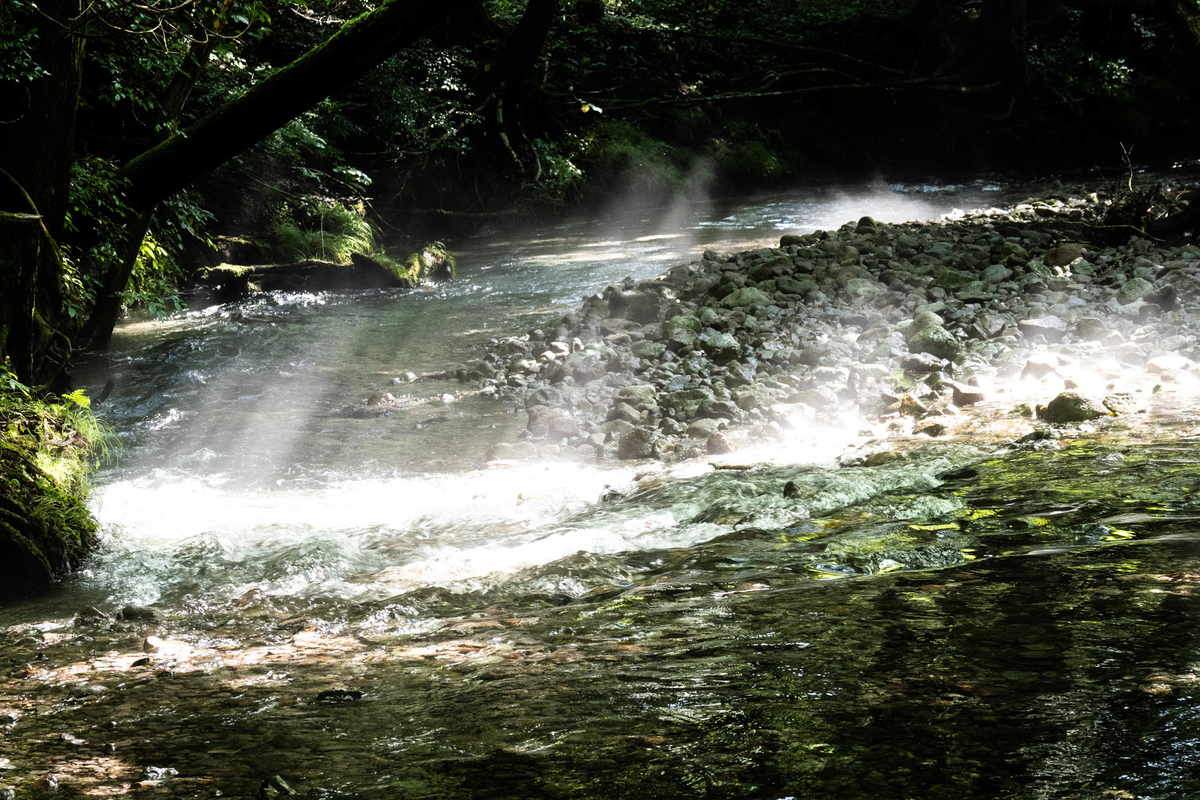 f:id:battorisassa:20190803062508j:plain f:id:battorisassa:20190803062508j:plain