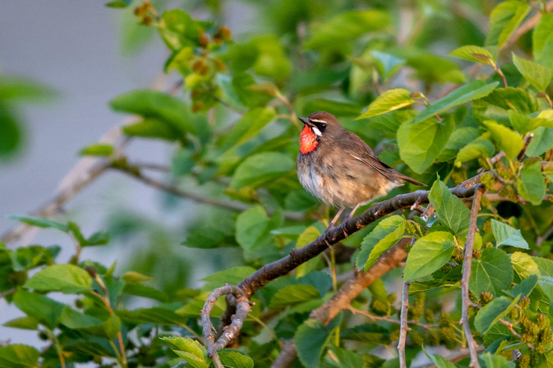 イメージ 9