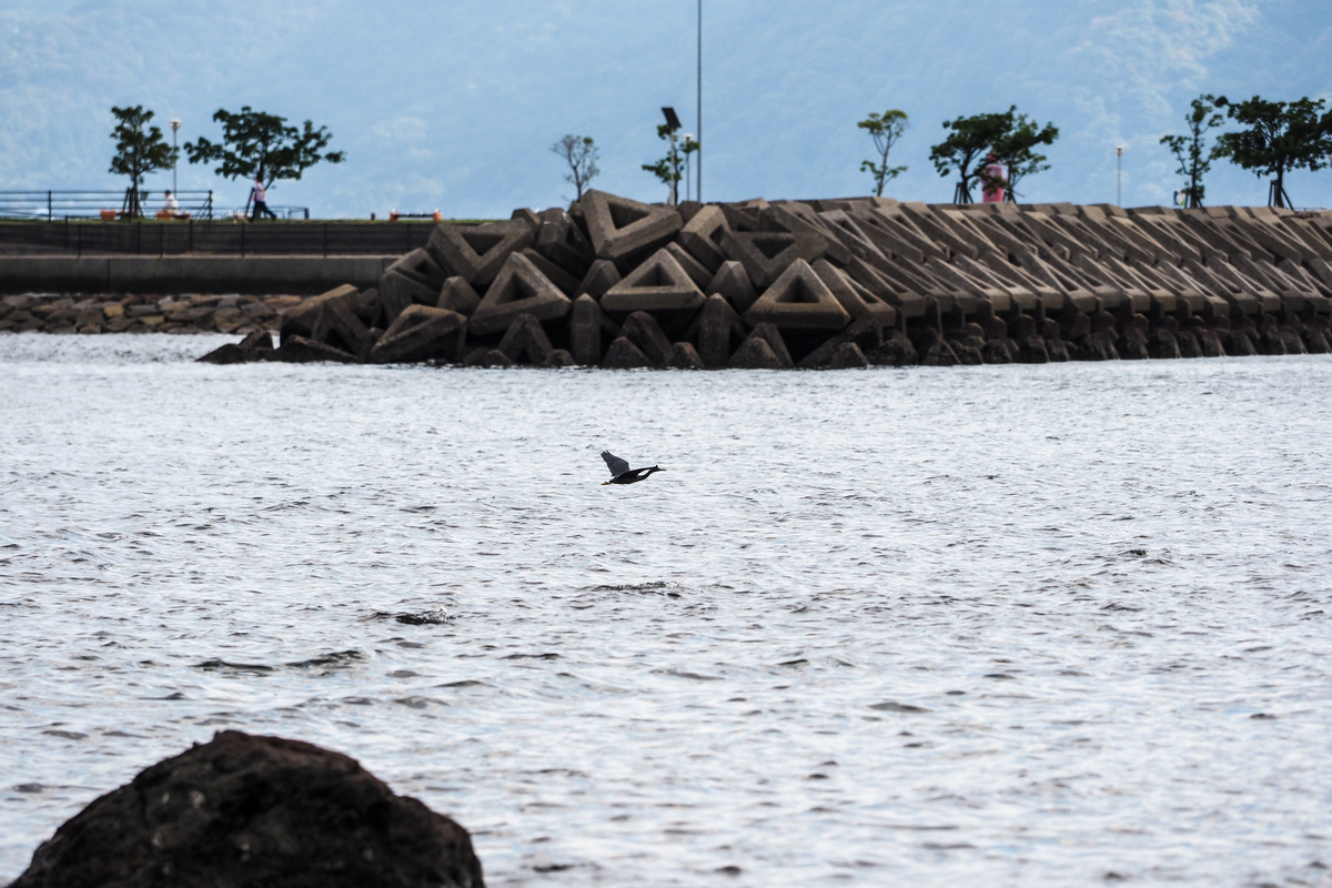 f:id:battorisassa:20191101070040j:plain