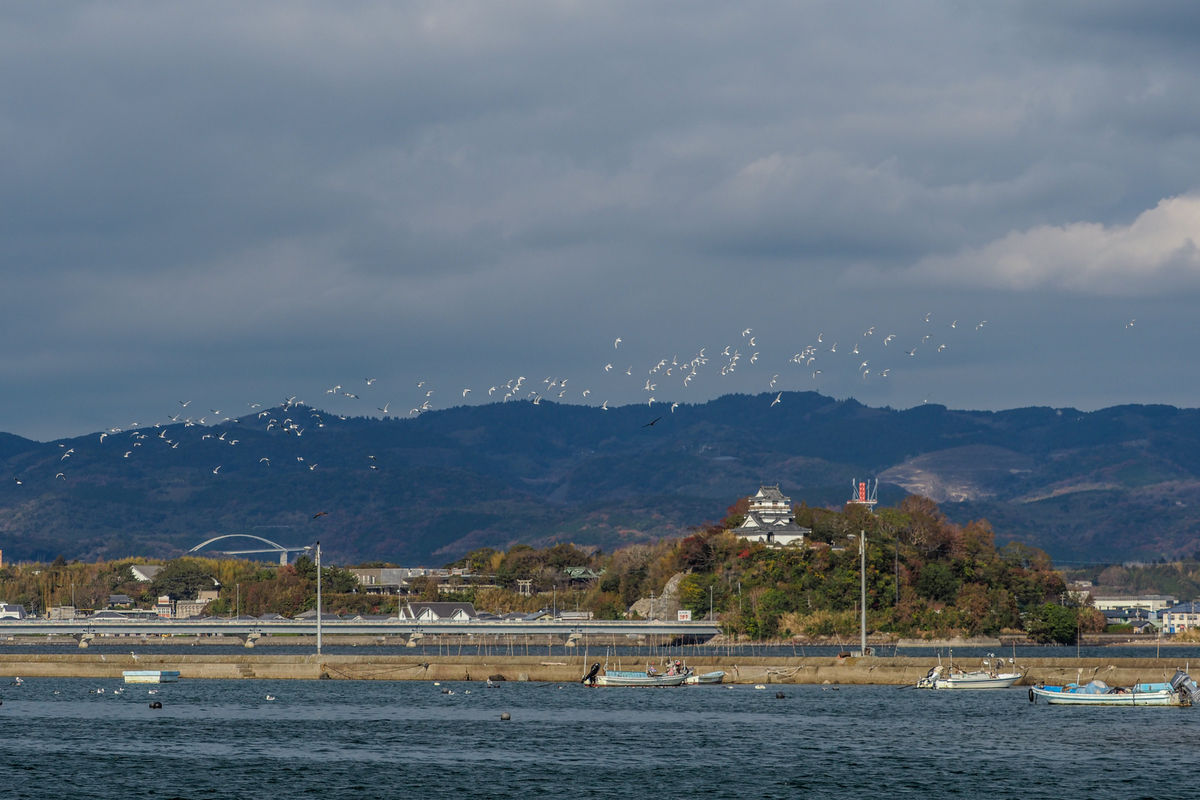 f:id:battorisassa:20201219161026j:plain