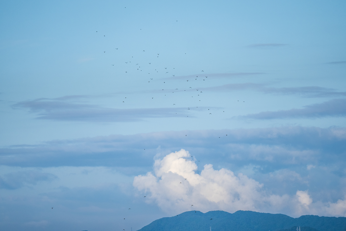 f:id:battorisassa:20210909201020j:plain