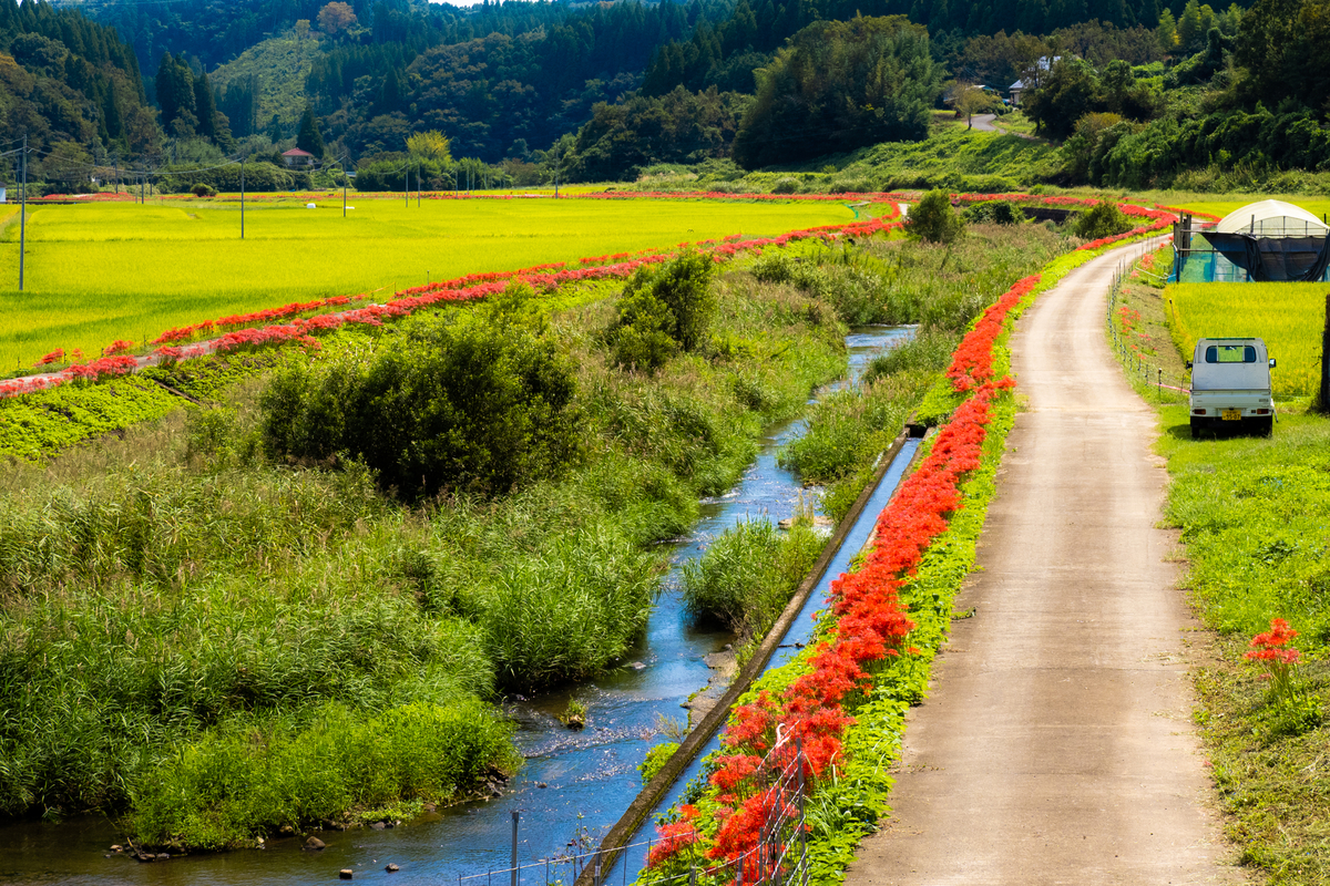 f:id:battorisassa:20210927152936j:plain