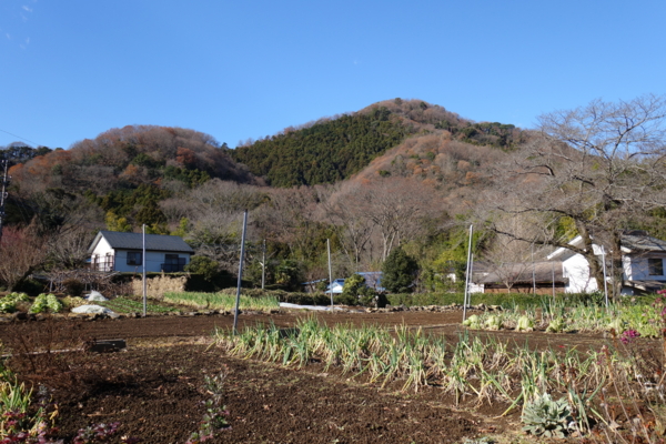 f:id:baumkuchen:20141225153807j:plain f:id:baumkuchen:20141225153807j:plain